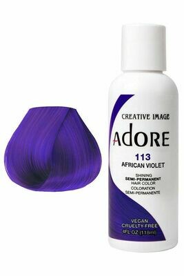 Adore  African Violet #113