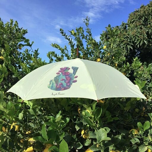 UMBRELLA
