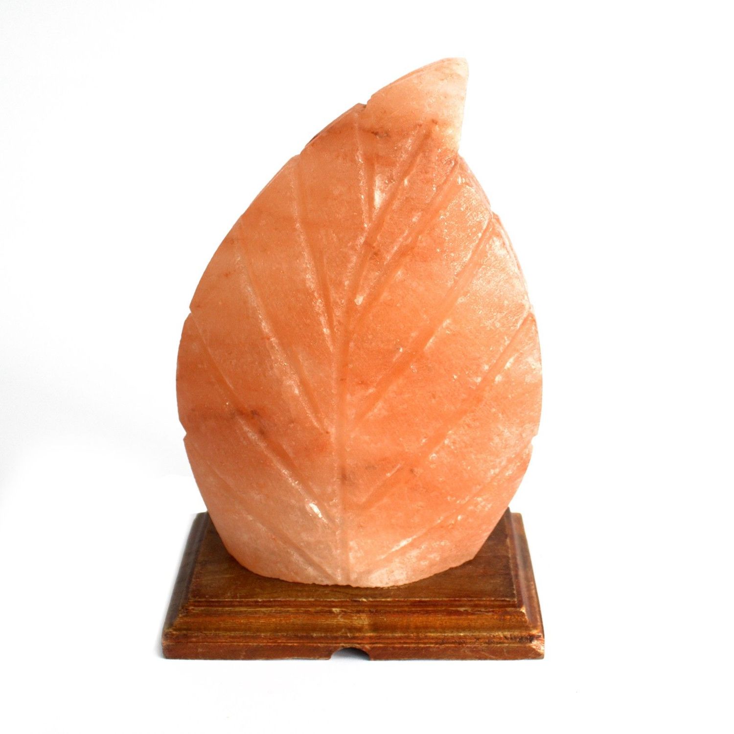 Shape Salt Lamp - Fern Shape Salt Lamp - Fern
