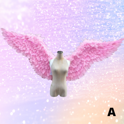 Pink Angel Wings Pink Angel Wings
