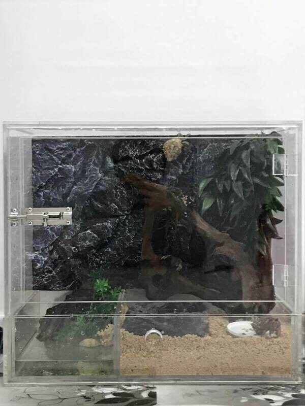 Wet / Dry Reptile Terrarium