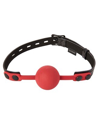 Ball Gags
