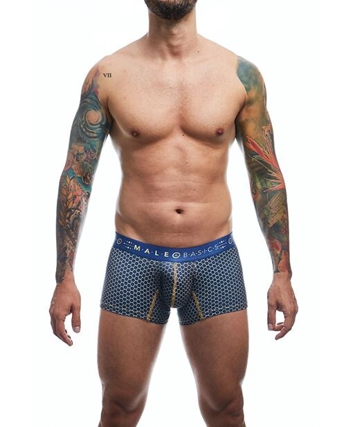 Male Basics Hipster Trunk - Andalusia Male Basics Hipster Trunk - Andalusia