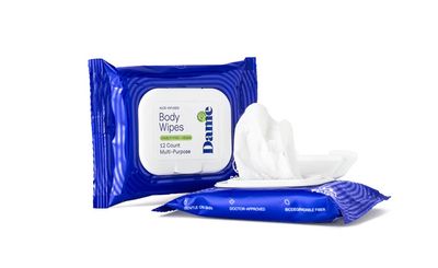 Dame Body Wipes 12ct Aloe &amp; Cucumber