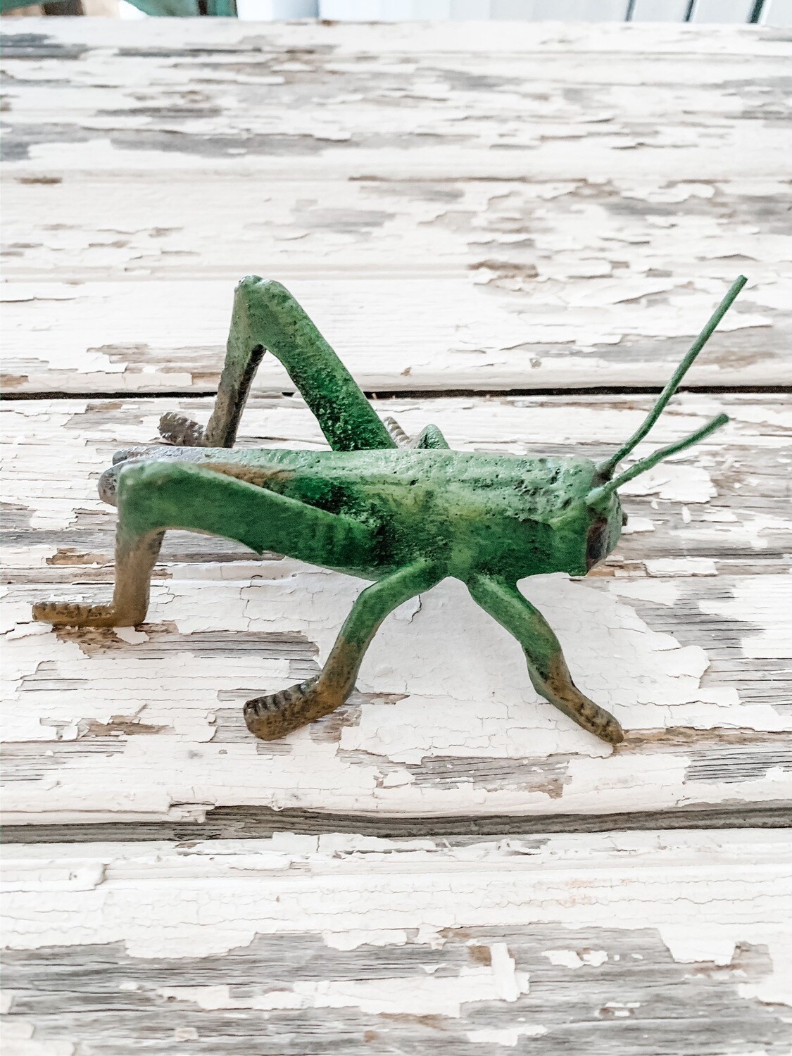 Cast Iron Grasshopper