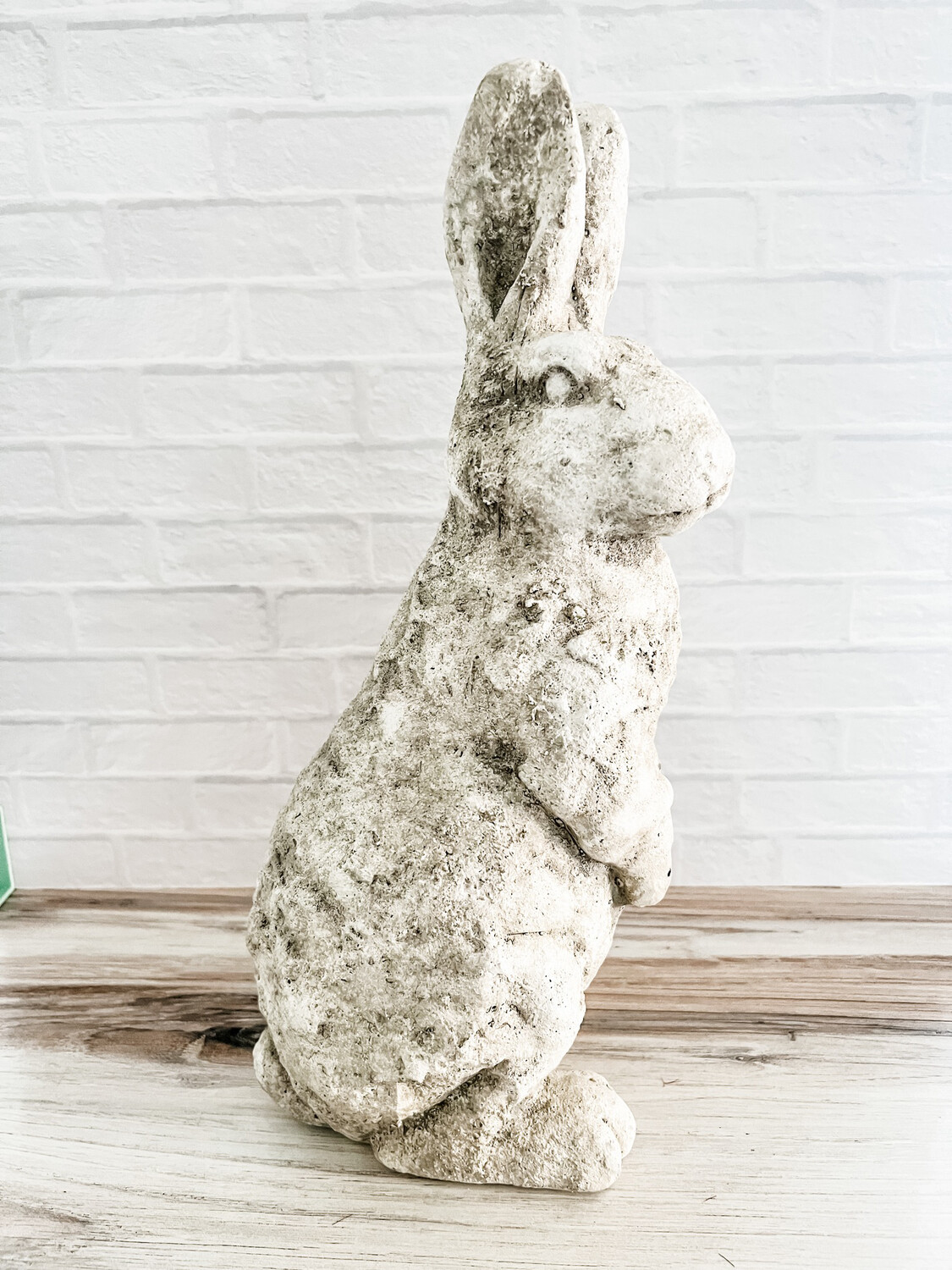 Standing Rabbit