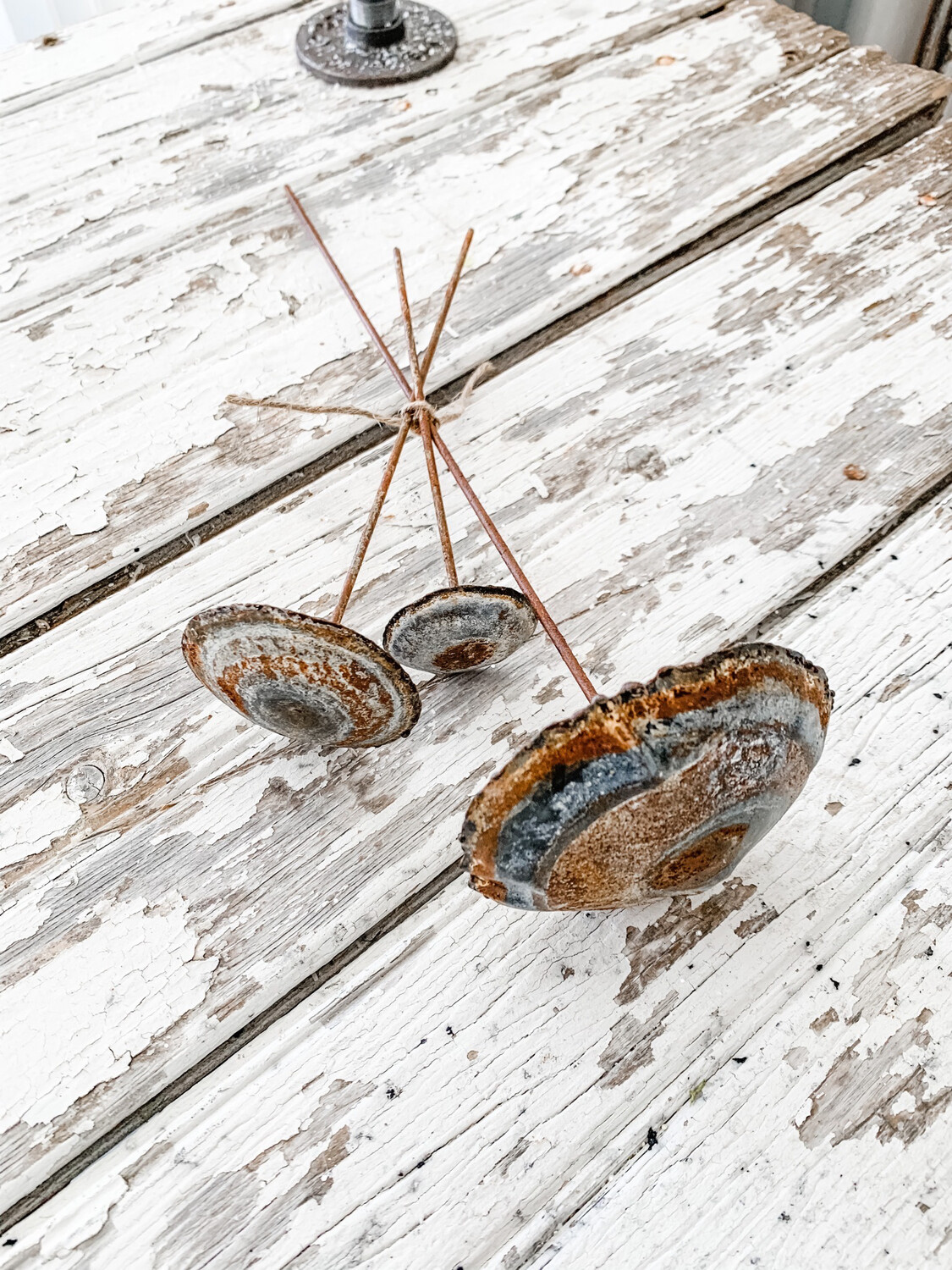 Zinc Mushrooms