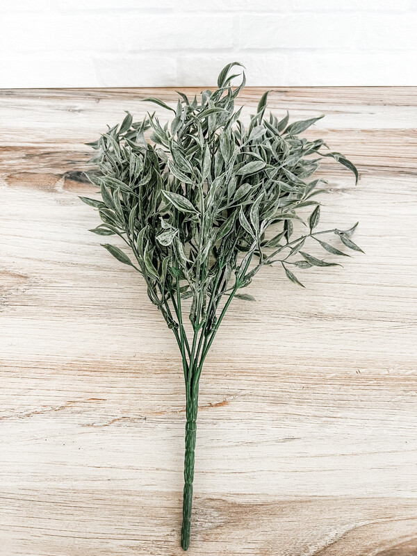Small Leaf Bush