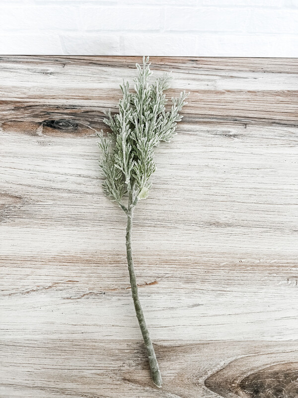 Frosted Cypress Stem