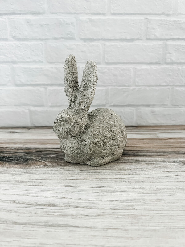 Baby Rabbit