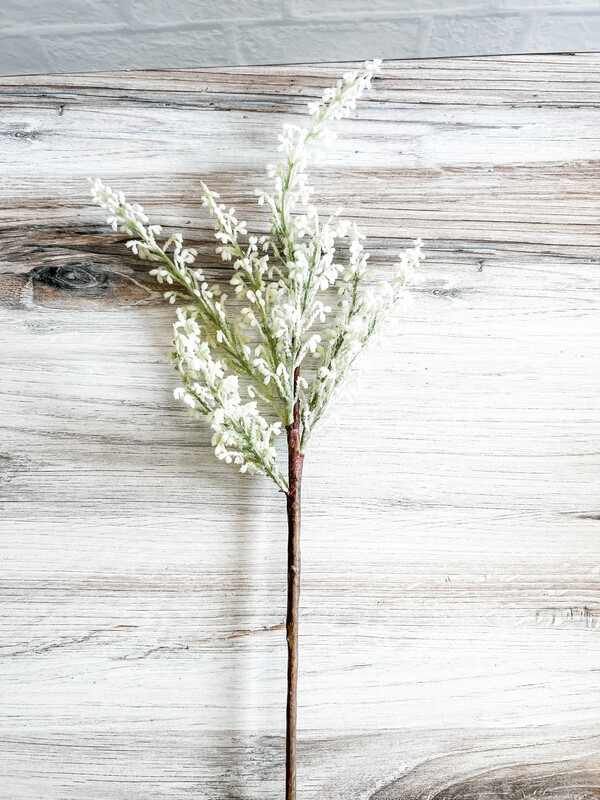 Heather Stem