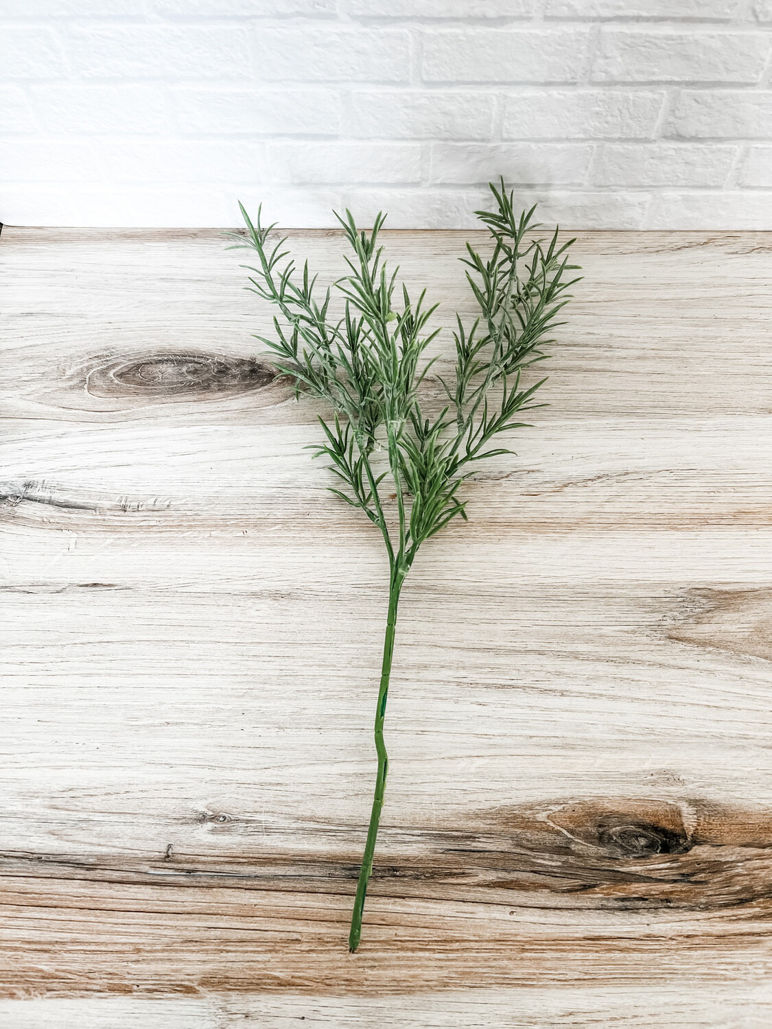 Rosemary Stem