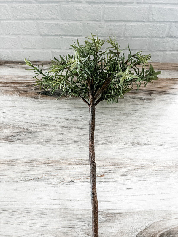 Rosemary Topiary Stem