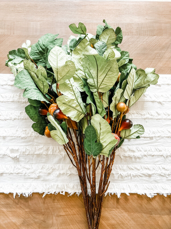 Fig Branch