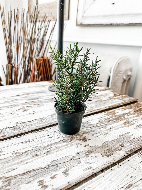 Rosemary Drop In