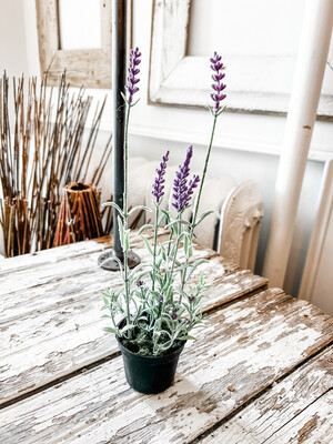 French Lavender Drop In