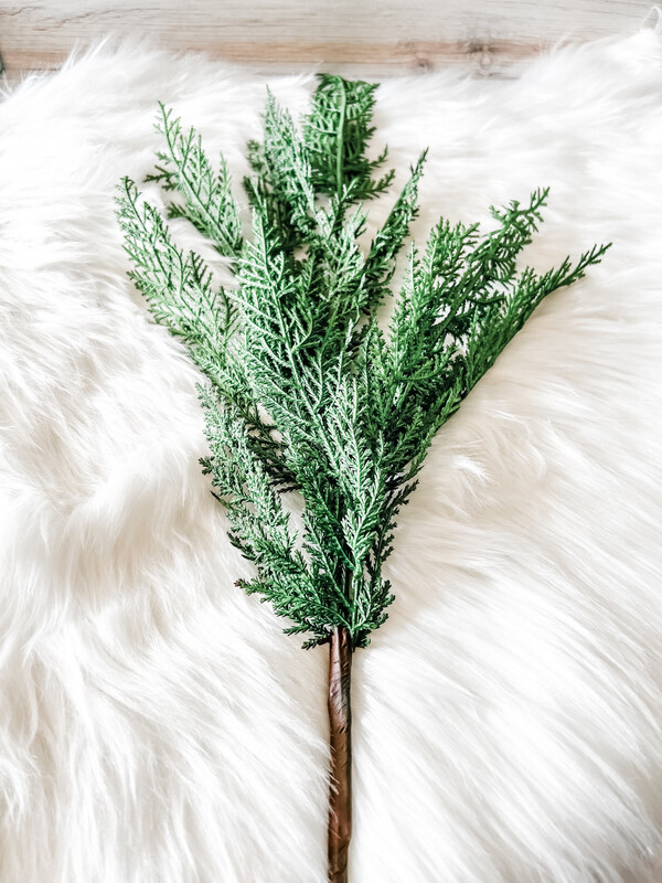 Cedar Spray Cedar Spray