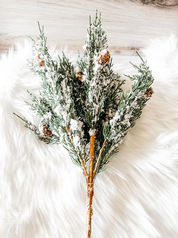 Snowy Winter's Warmth Bush Snowy Winter's Warmth Bush