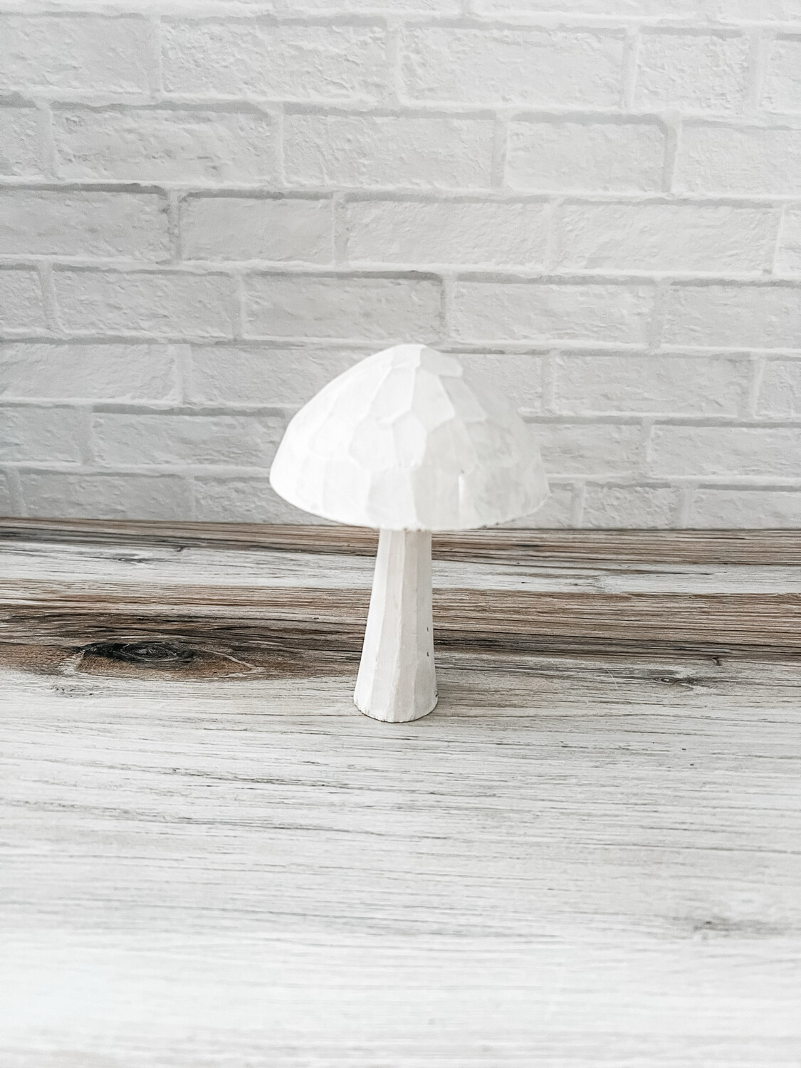 White wood mushroom L
