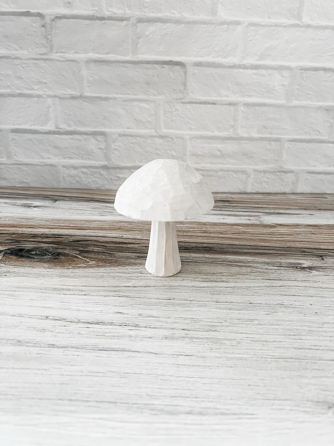 White wood mushroom S