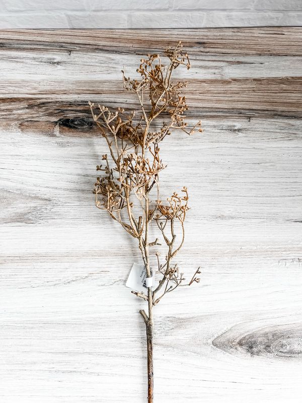 Sedum Spray