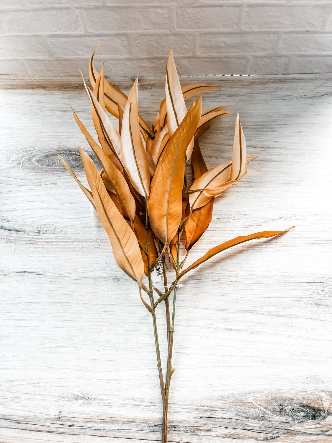 Gold Eucalyptus Spray