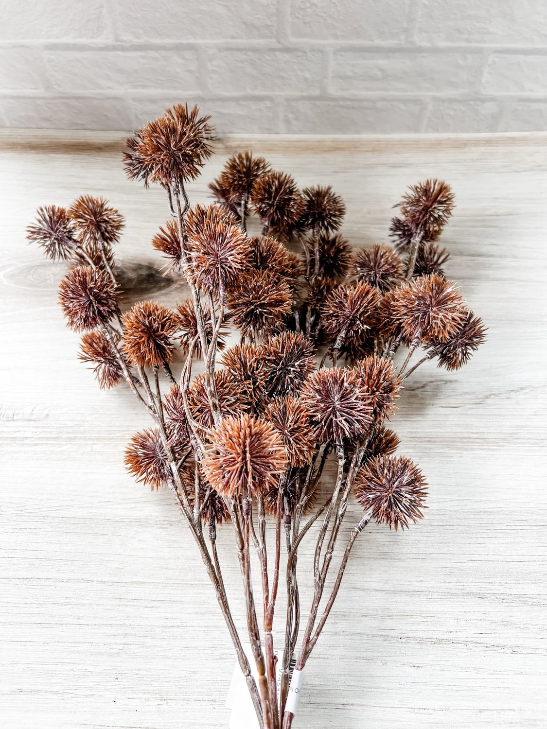 Urchin Buds