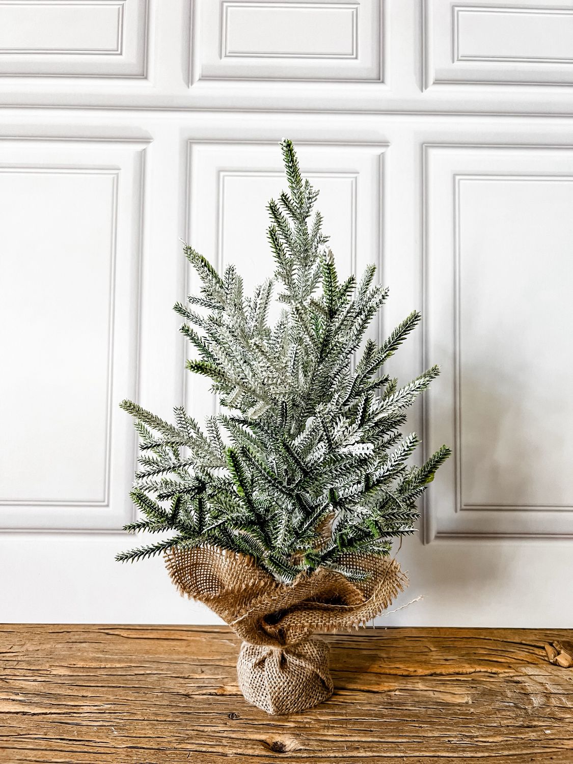 Frostbite Pine Tree