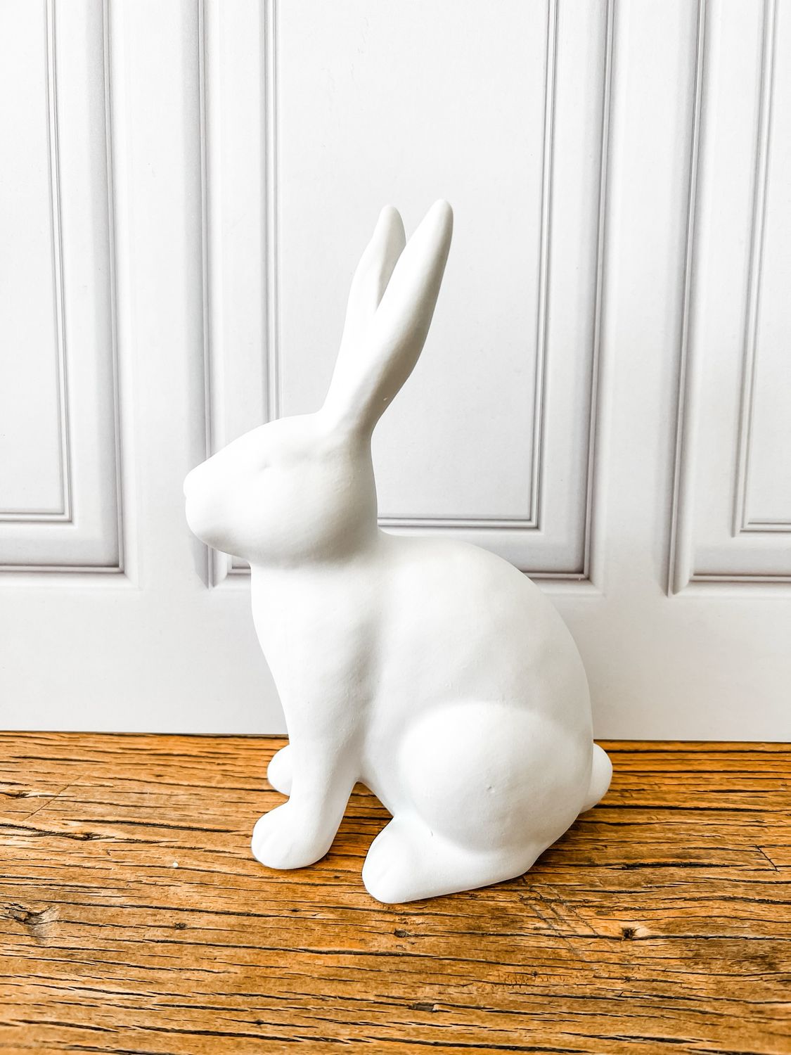 White Sitting Bunny