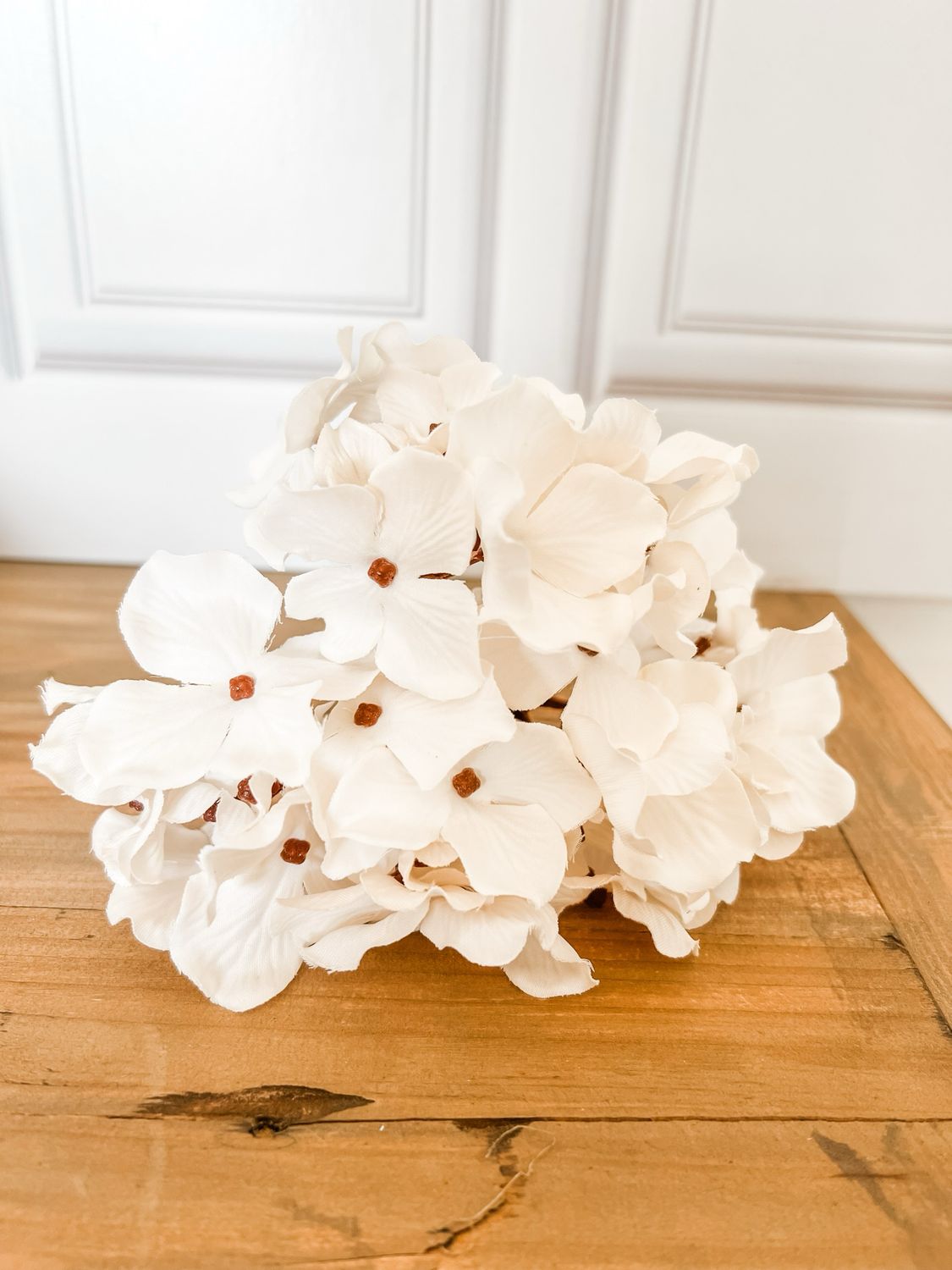 White Hydrangea