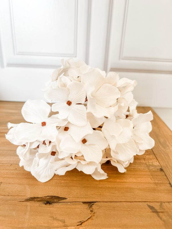 White Hydrangea