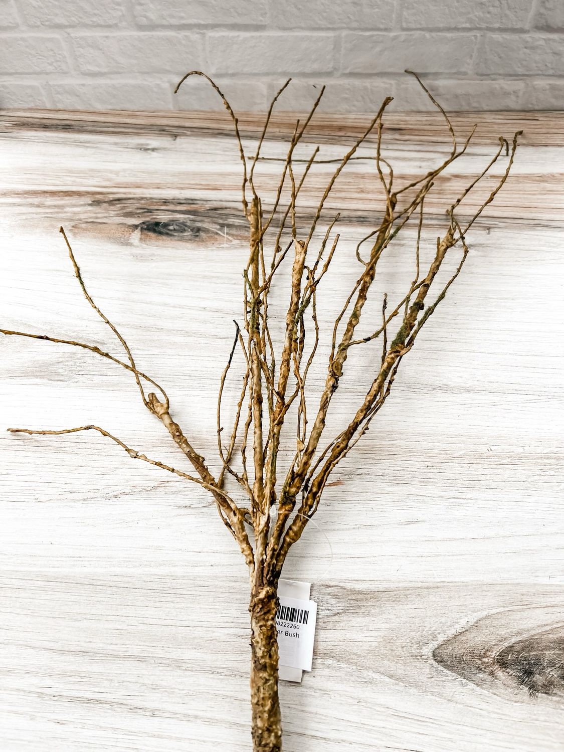 Bramble Bower Bush