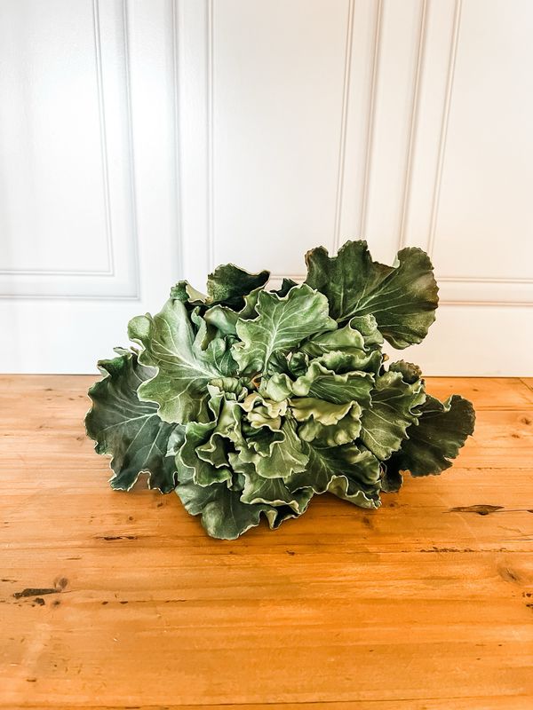 Kale Head