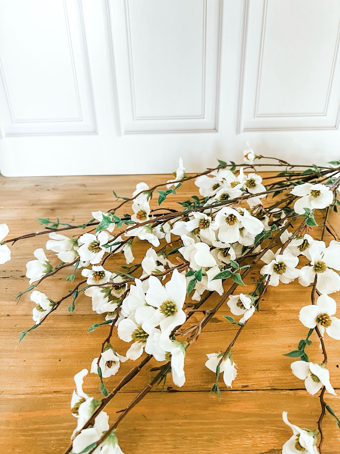 White Dogwood Branch
