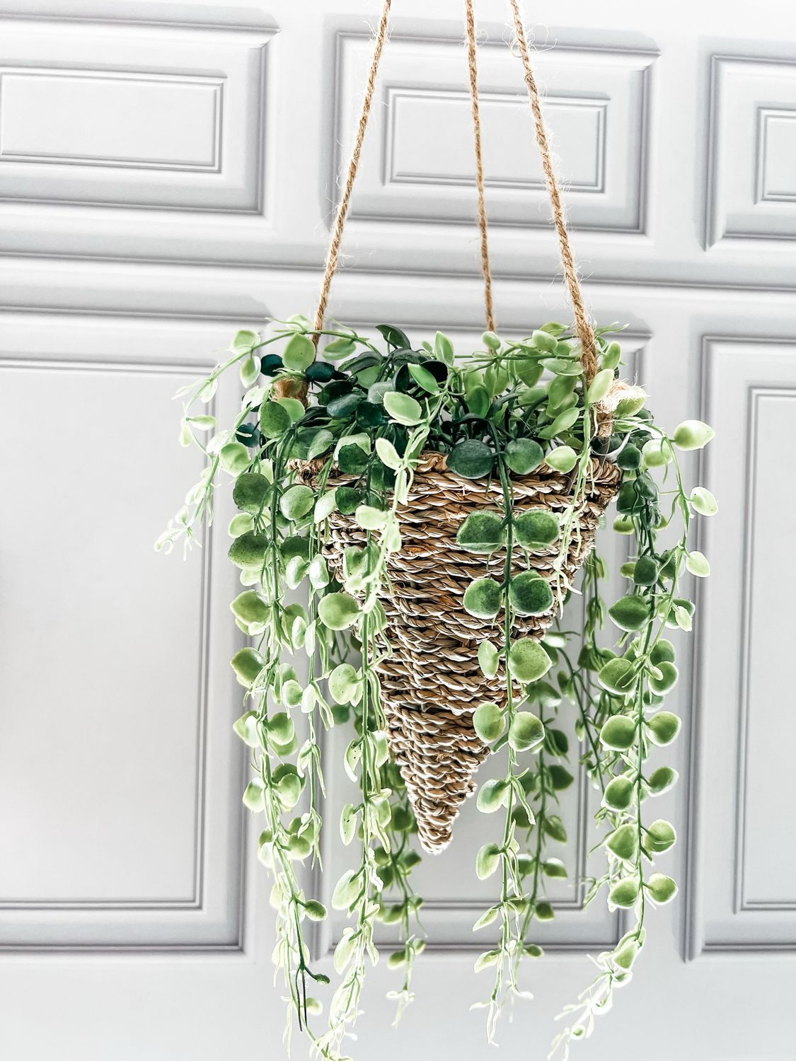 Brentwood Hanging Basket