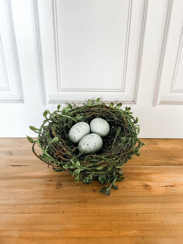 Mossy Robin&#39;s Egg Nest