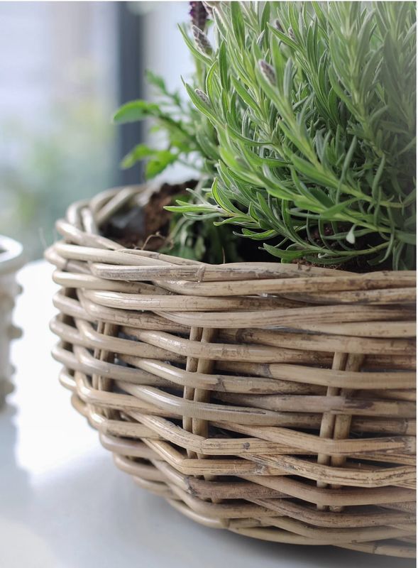 Willow Basket Planter Workshop