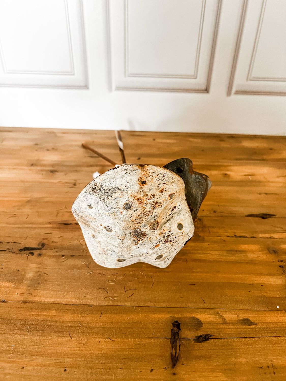 S/2 Rustic Mushroom Stakes