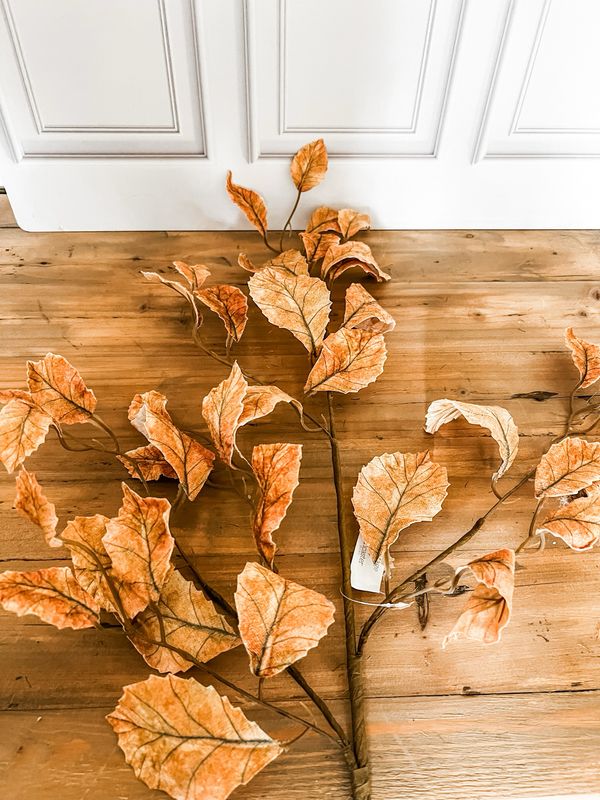 Spice Leaves