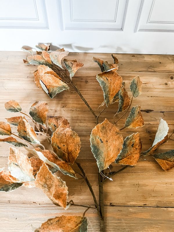Moss Leaves