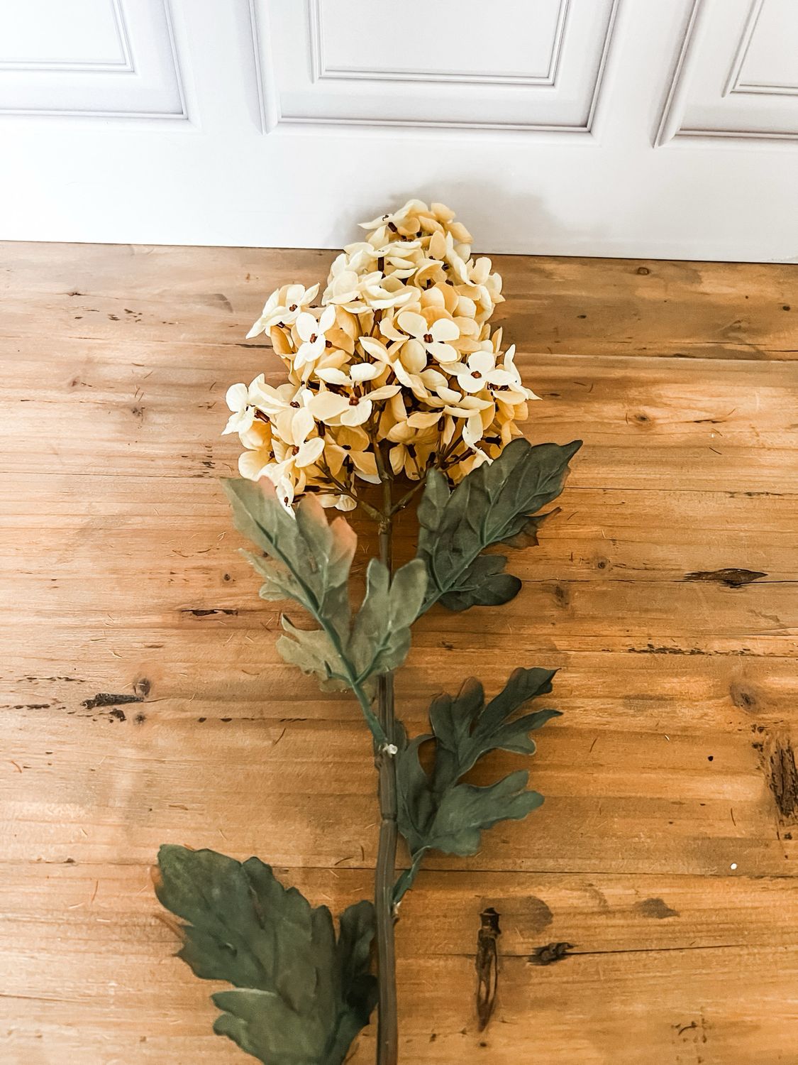 Conventry Hydrangea