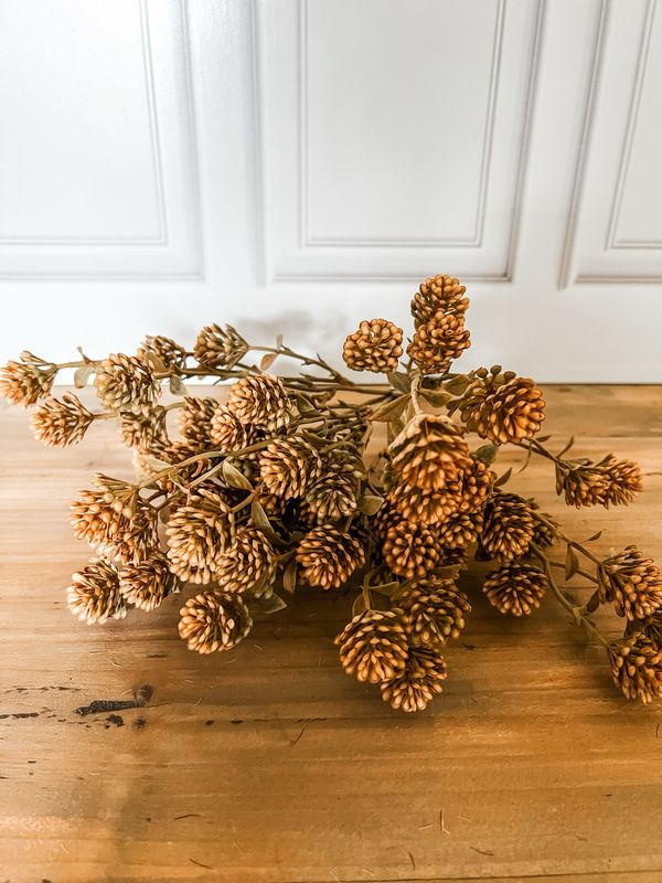 Russet Cone Bush