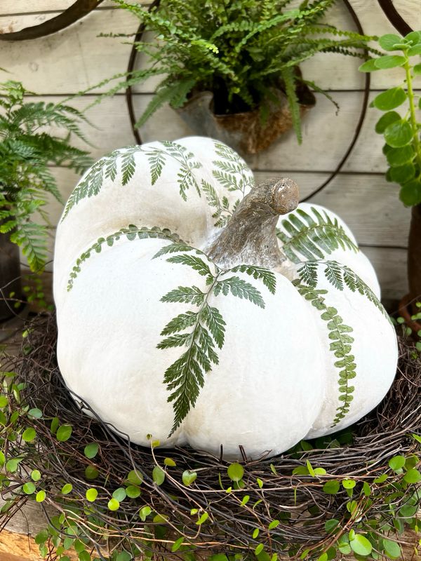 Botanical Fairytale Pumpkin Workshop