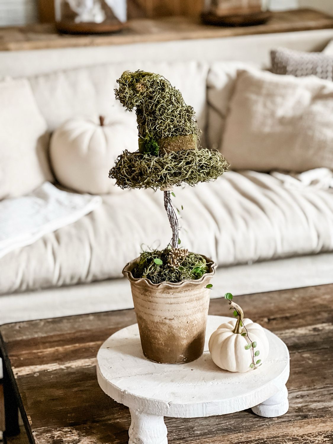 Witch Hat Topiary Workshop