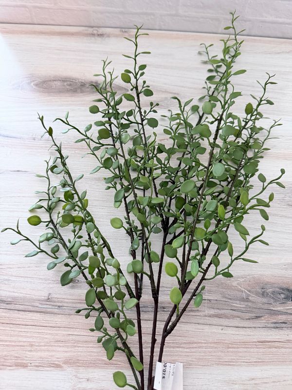 Rarrick Leaves Spray