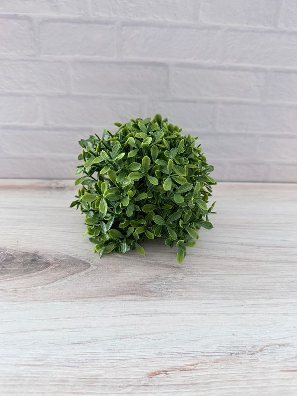 Boxwood Half Sphere