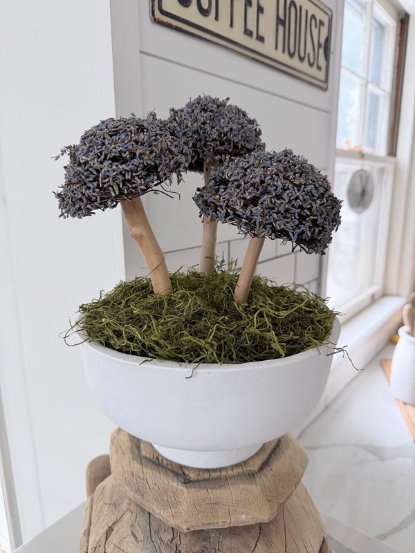 Moss &amp; Mushroom Centerpiece Workshop