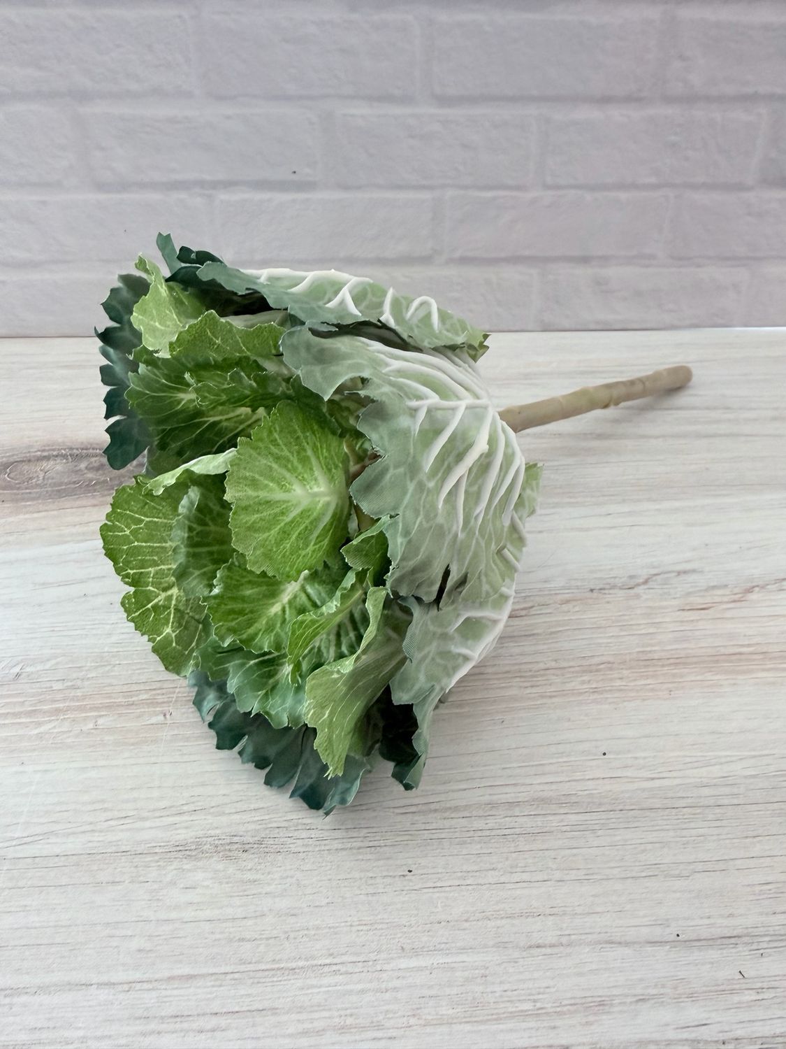 Cabbage Stem