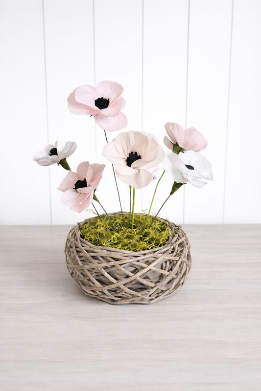 Petals & Paper Workshop Petals & Paper Workshop