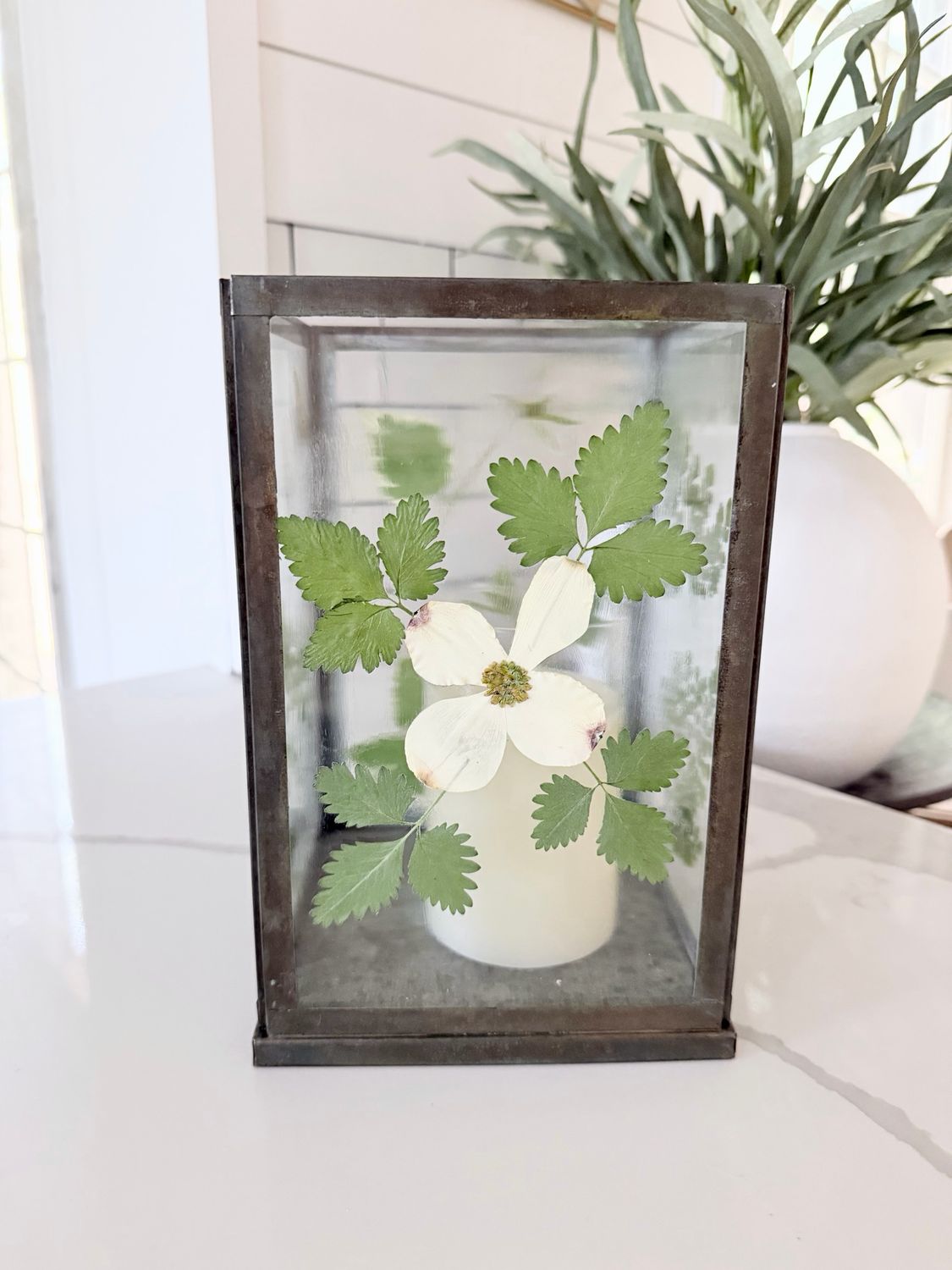 Bloom &amp; Glow Workshop
